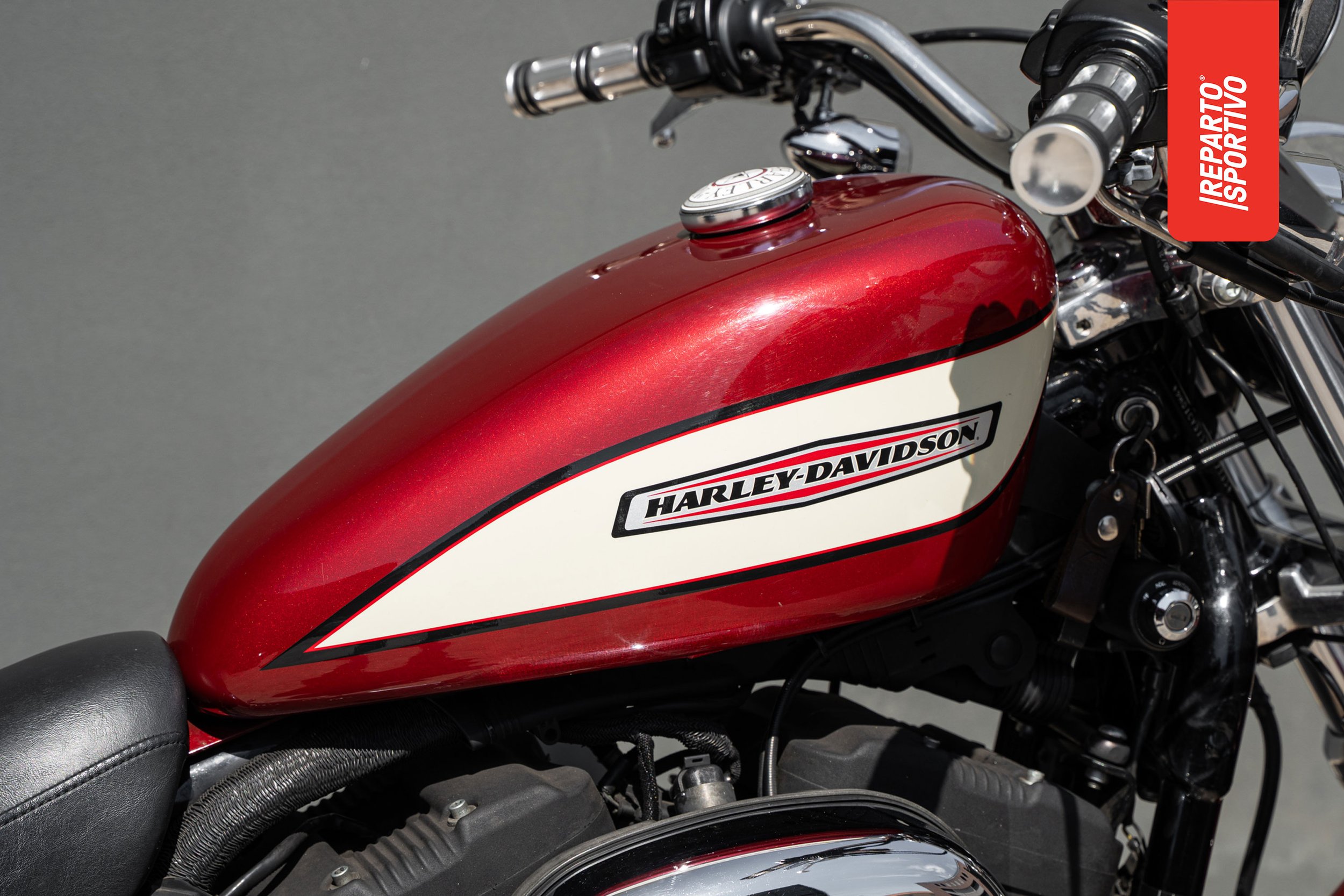 SPORTSTER_10.jpg