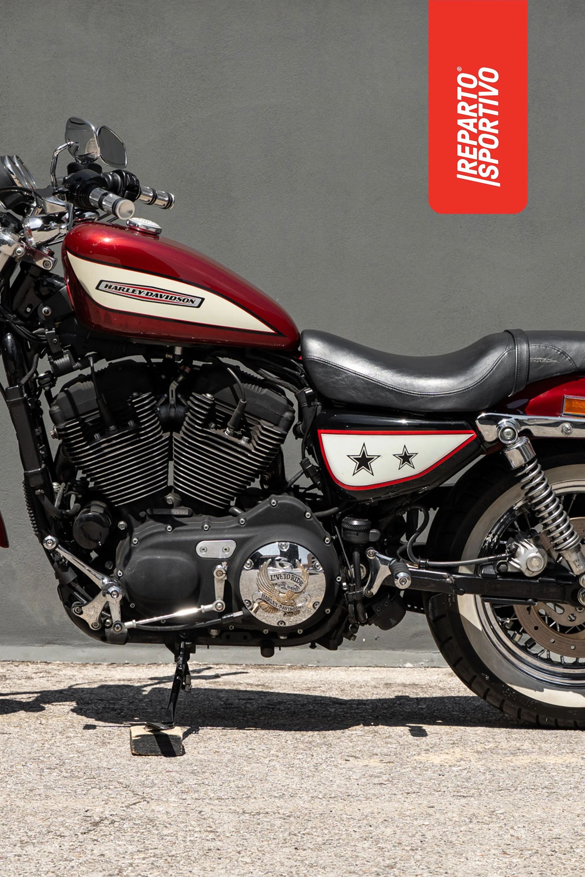 SPORTSTER_13.jpg