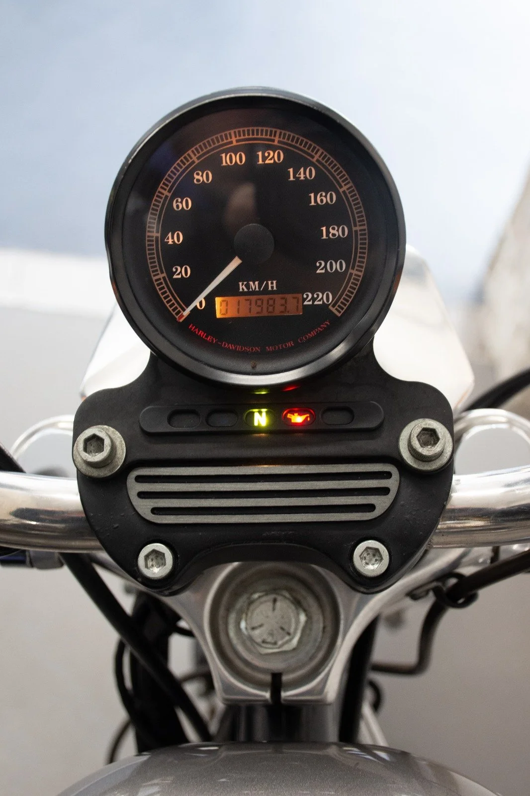 WhatsApp Image 2022-03-11 at 11.49.31 (4).jpeg