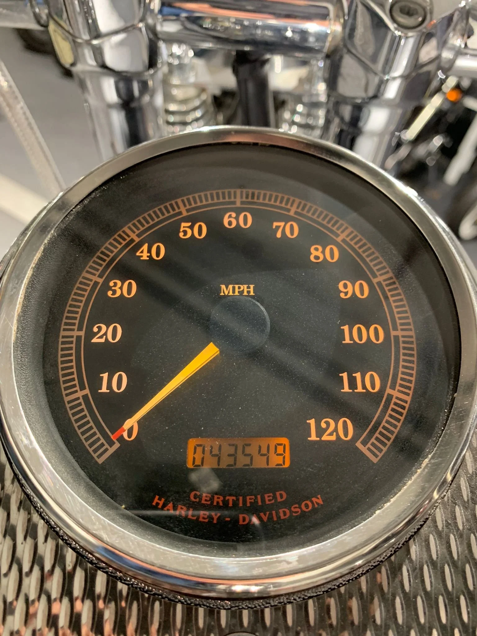 WhatsApp Image 2022-02-02 at 19.08.03 (1).jpeg