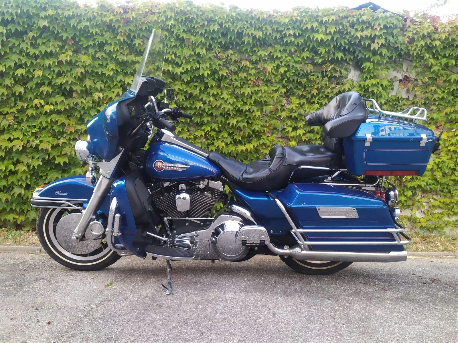 WhatsApp Image 2021-10-06 at 17.51.59 (5).jpeg