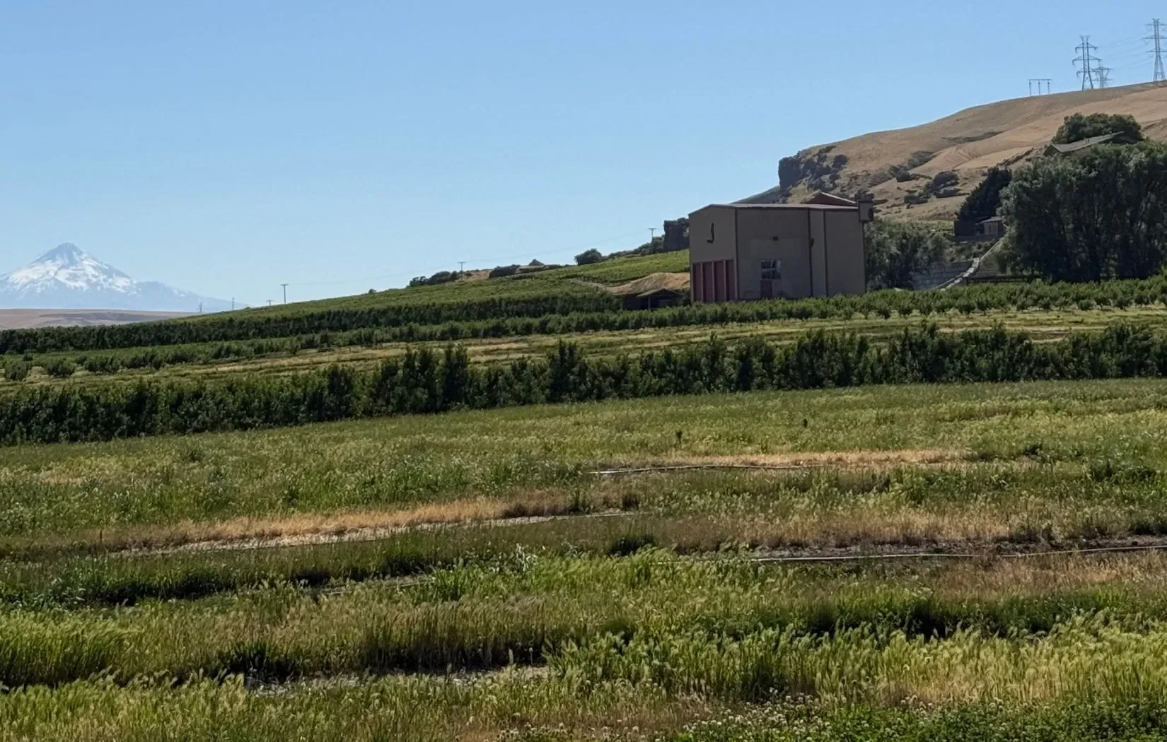 geosynthetics installation + Spokane