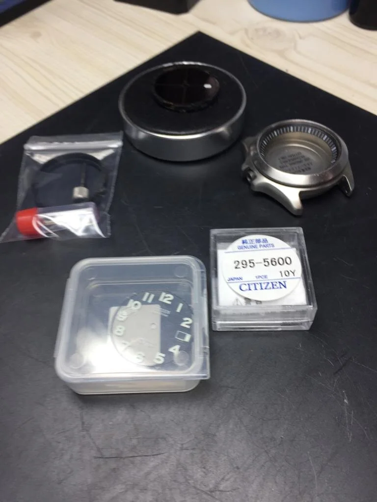 Citizen capacitor.jpeg