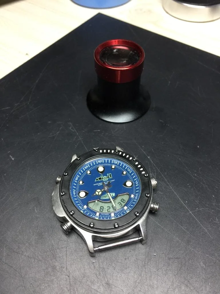 Animal watch W009 T250, T240, T230, T220, T210, T200 watch in for Service repair from Biggleswade, Bedfordshire.