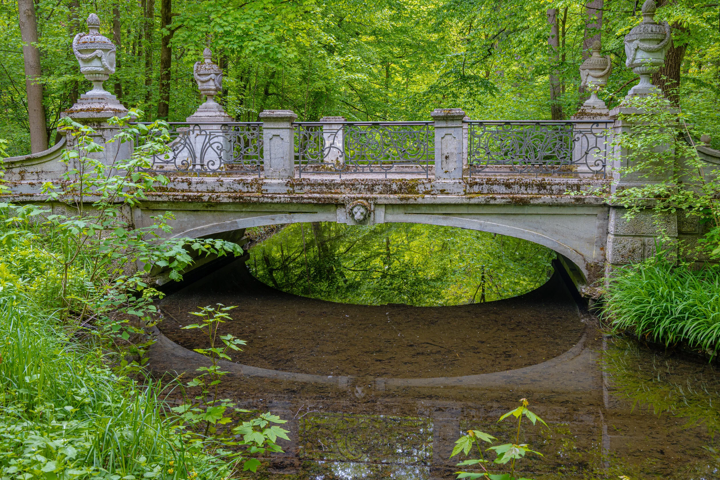 7K5A0549-Bearbeitet-Bearbeitet.jpg