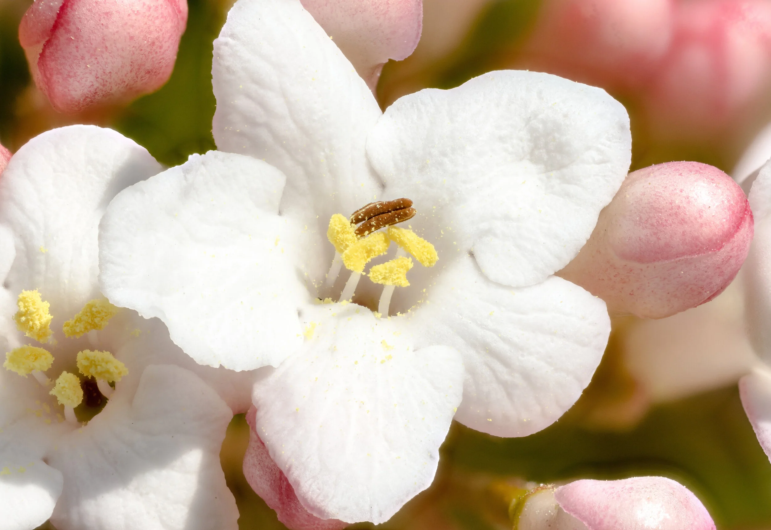 2020-04-09 15-53-32b (C,Smoothing4).jpg