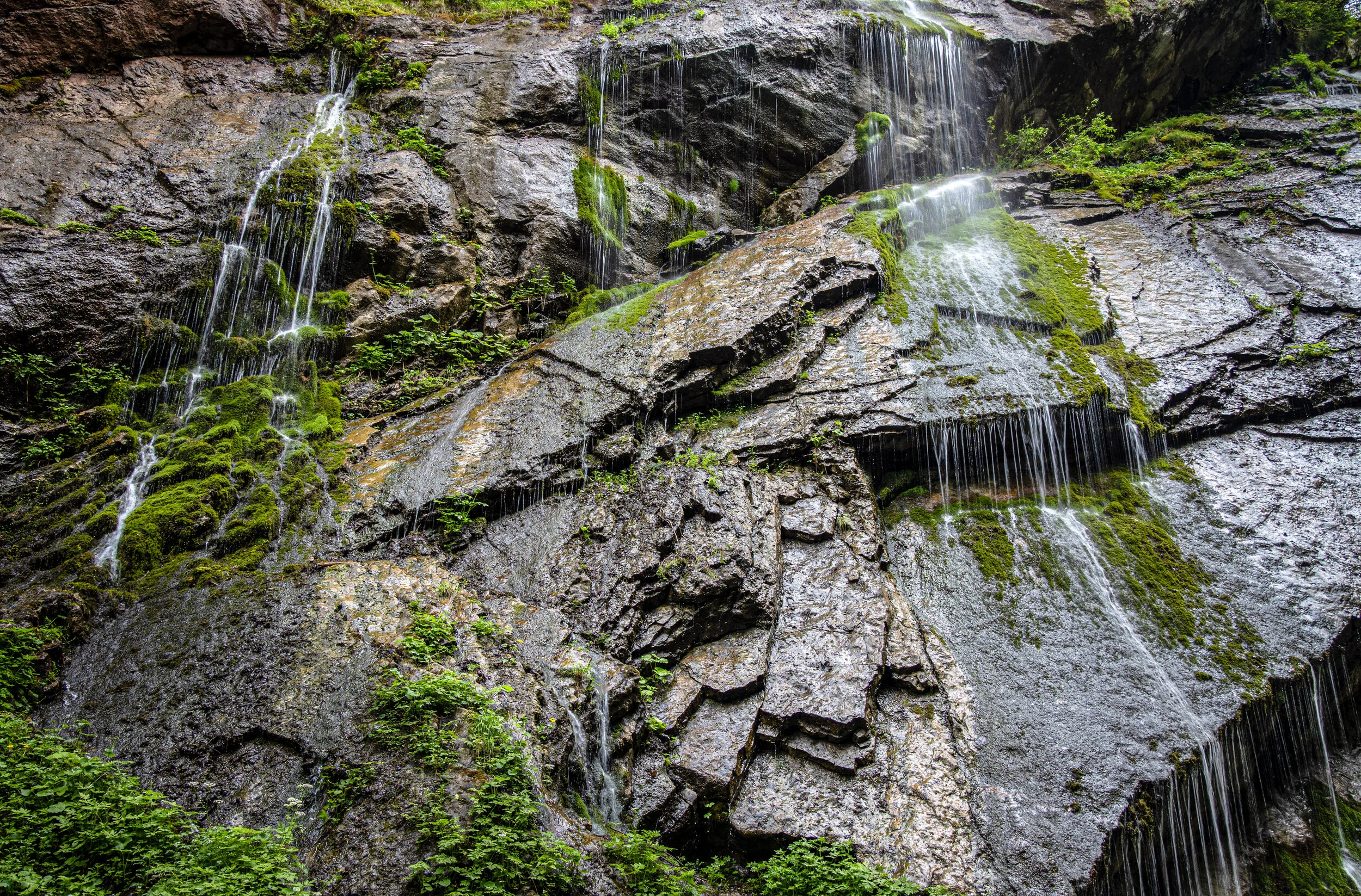 _K5A3035-Bearbeitet.jpg