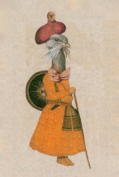 The Nawab.jpg