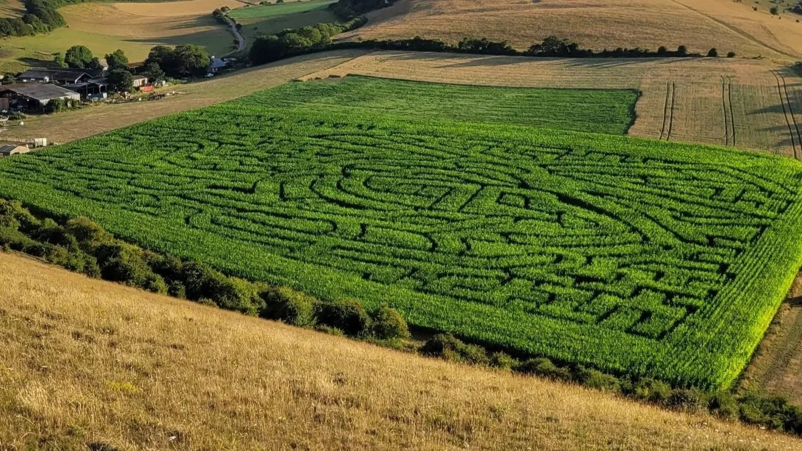 Aerial view of South Farm Rodmell maize maze from the South Downs near Lewes, East Sussex