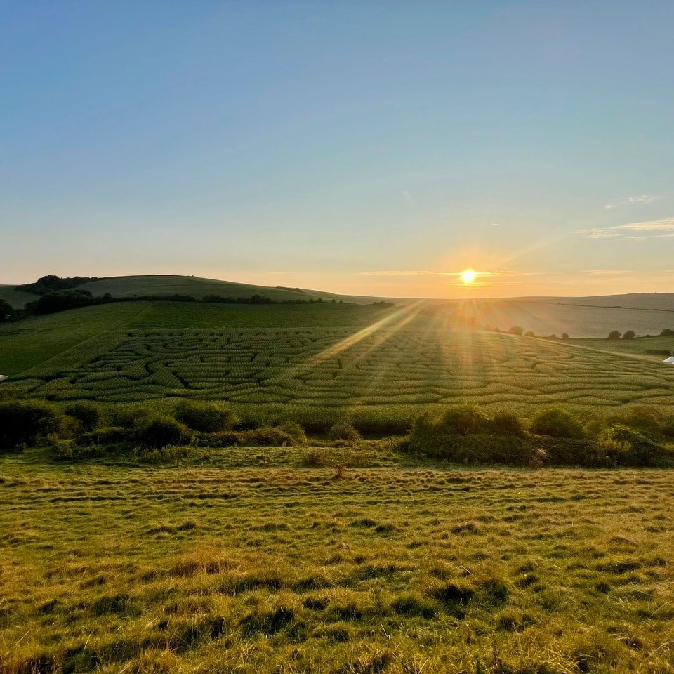 ☀️ As the sun sets over the maze and the season comes to an end, we want to say thank you to everyone who attended our first ever maize maze! 

🌽 We have had an a-maze-ing time hosting you all and hope to see you all again for a new maze next year! 