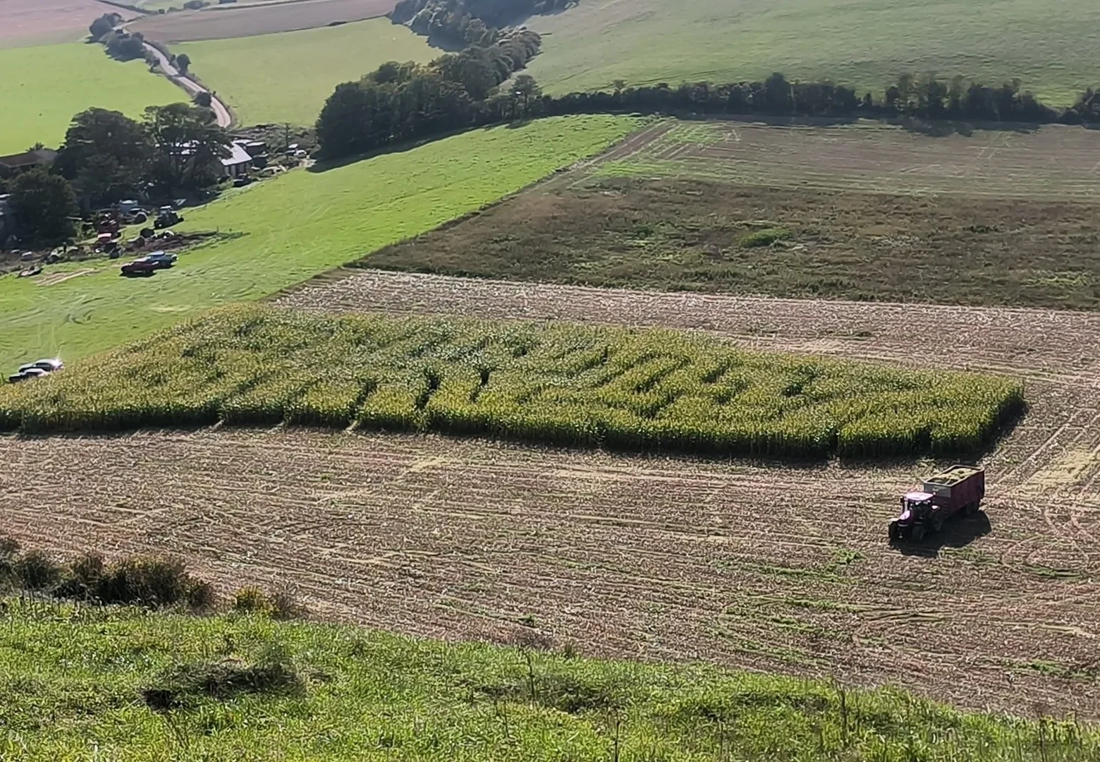 🎃🌽 Looking for Pumpkin Picking? Look no further! 

🗓 Open 18th - 31st October 
⏰️ 10am - 4pm
📍 South Farm, Rodmell, BN7 3FE or w3w factually.fallen.tourist 
🎟 No entry fee for the pumpkin patch! Just turn up!
🐕 Bring your pooches too! (Please k