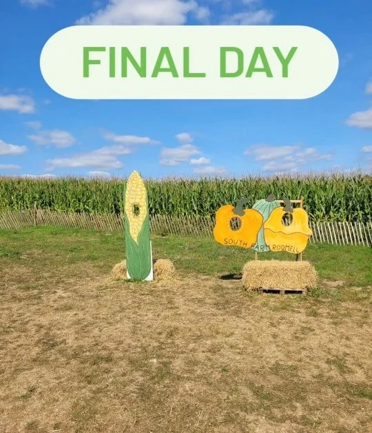 ⏳️ Last day to get lost! 
Come down before 3pm to get lost in the maze. See you there!

 #southfarmrodmell #supporttheskies #summerfun #maizemaze #summerholidays #visitlewes