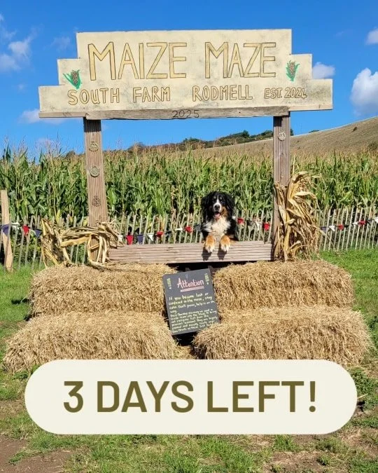 ⏳️Only 3 days left! Get to the maze before it's too late🚨
🎟 Go to our website to book or just turn up! 
📍 South Farm, Rodmell, BN7 3FE or w3w factually.fallen.tourist 
 #southfarmrodmell #supporttheskies #summerfun #maizemaze #summerholidays #visi