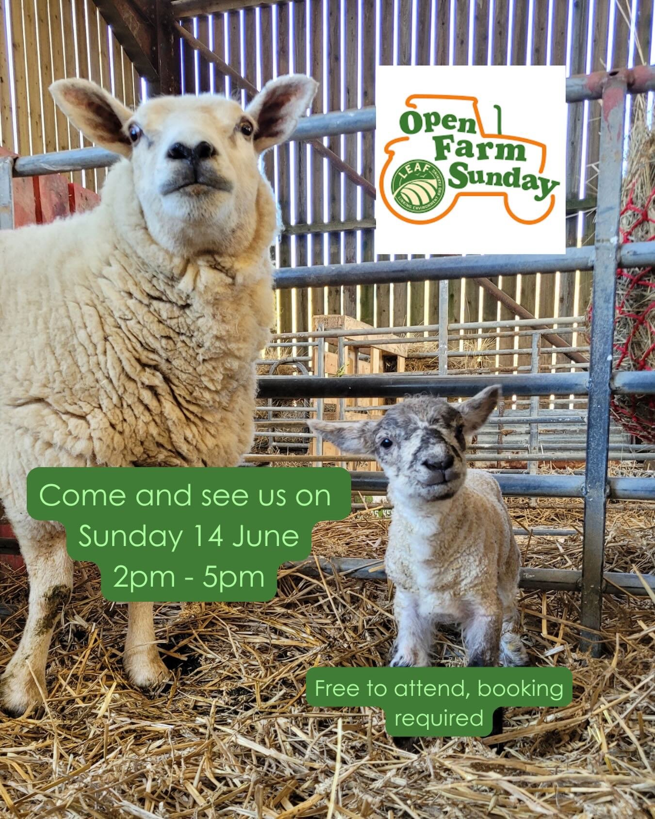 Mark your calendars 📅

We&rsquo;re taking part in Open Farm Sunday this year, and you&rsquo;re invited. 

Come and spend a free afternoon with us at South Farm on Sunday 14th June, 2pm&ndash;5pm.

Meet the animals, watch the cows come in for milking