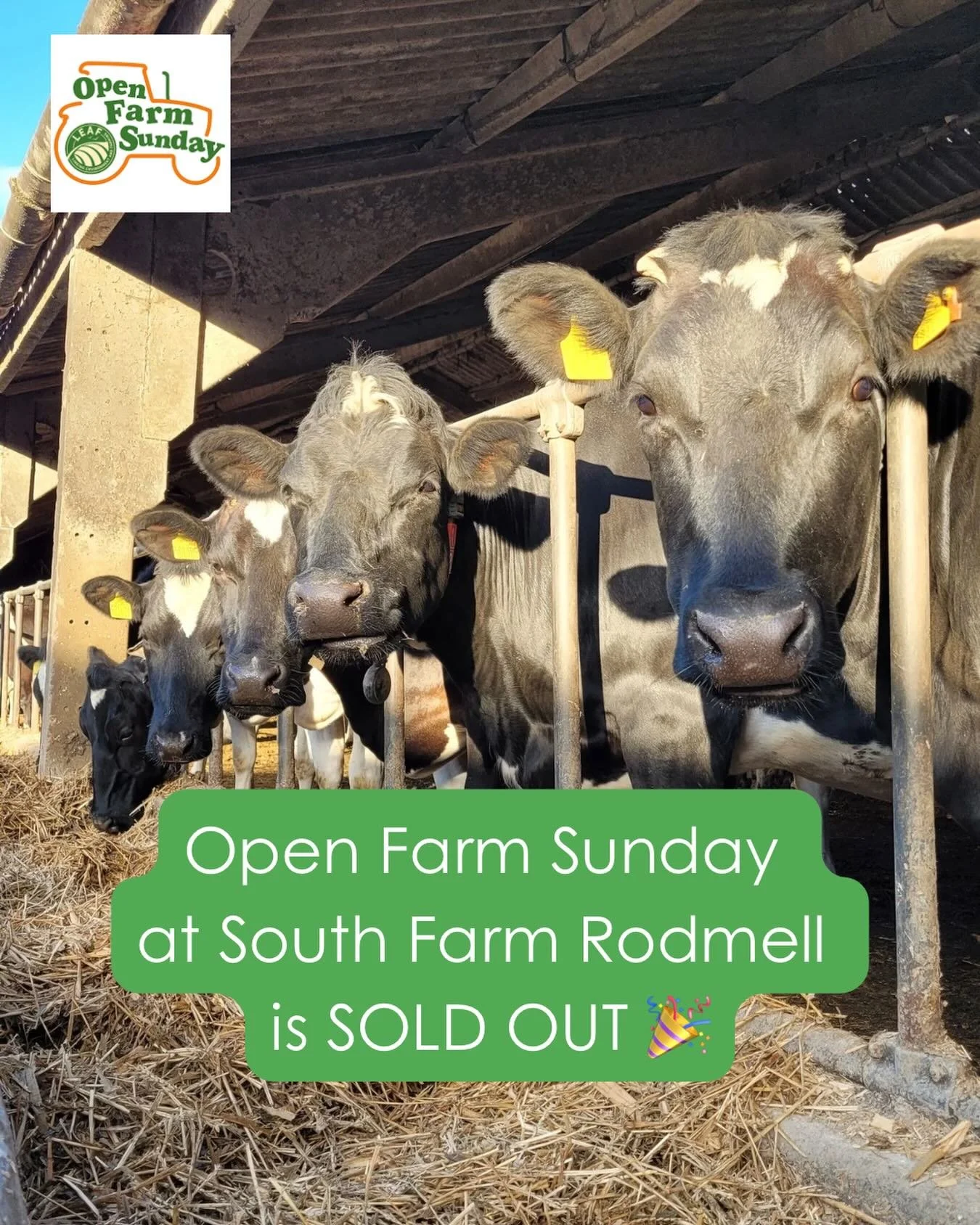 One week to go and we&rsquo;re fully booked. 

Open Farm Sunday at South Farm is Sunday 14th June, 2pm&ndash;5pm. 

Every spot has been taken, which means we&rsquo;re now running a waitlist - head to the website if you would like to be added - link i