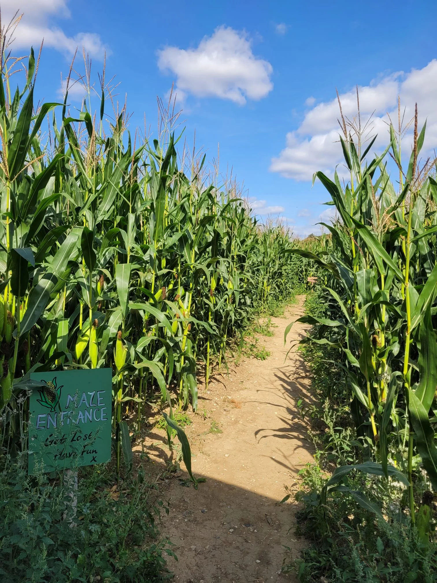 Maize maze entrance at South Farm Rodmell near Lewes, East Sussex, with handwritten sign reading Get Lost Have Fun