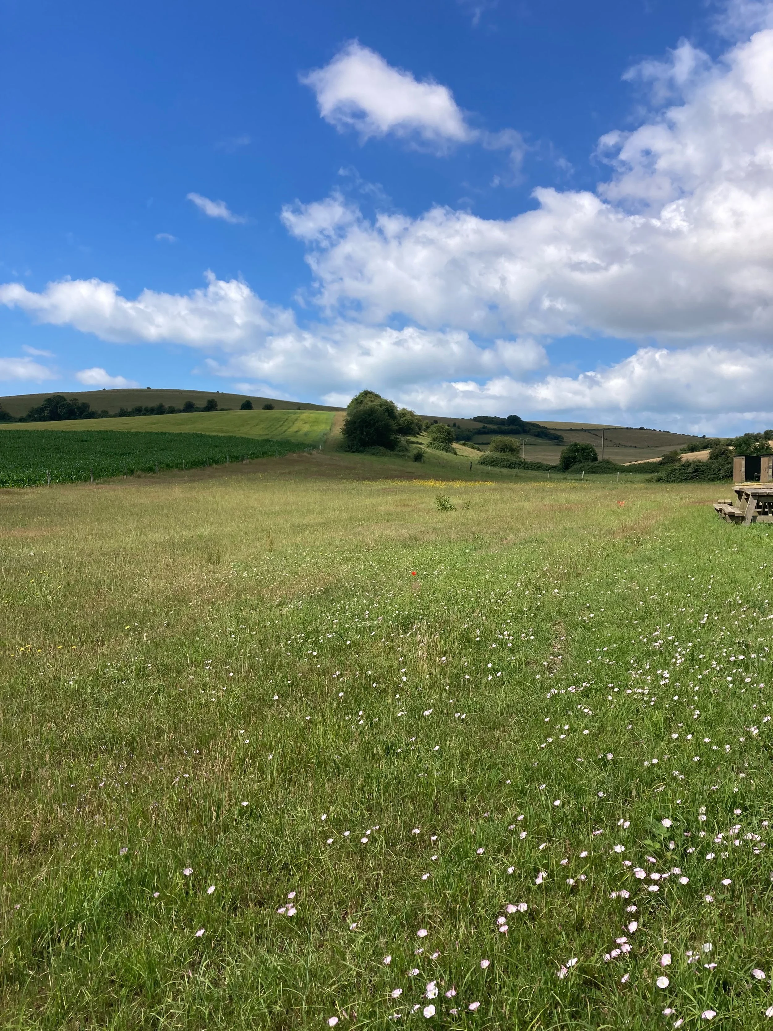 A view over the back of the campsite