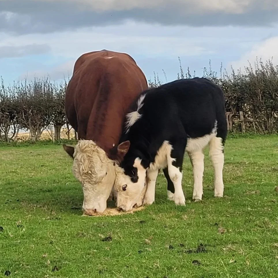 Father and daughter sharing some food
