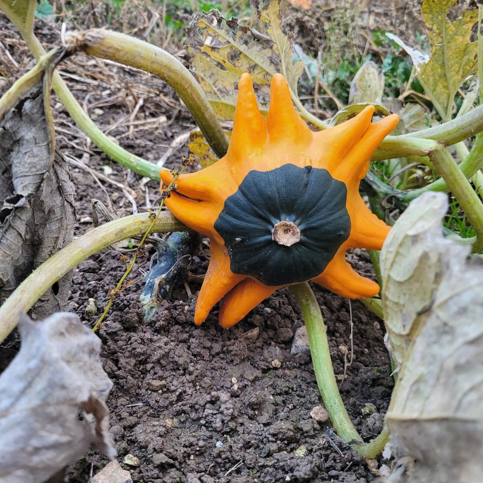 WhatsApp Image 2026-02-13 at 12.06.17 (4).jpeg