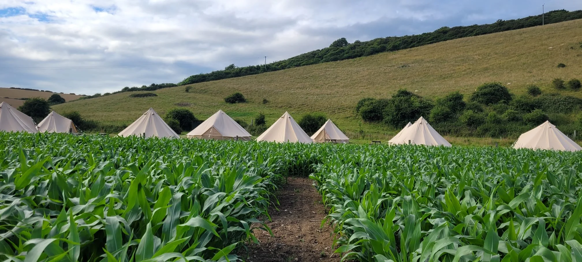 A view of the Bell Tents at the campsite