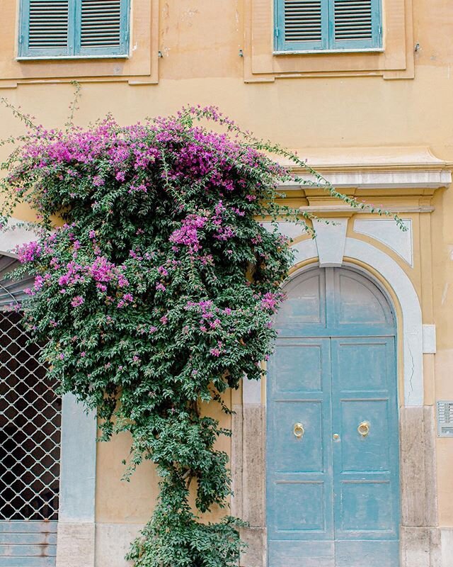 Here&rsquo;s a pretty wall from Italy to brighten your Monday afternoon.😏
.
.
.
#flowers #flowersoftheday #flowersmakemehappy #floralarrangement #floraldesigner #underthefloralspell #fineartflowers #fineartweddings #fineartcuration #fineartbride #so