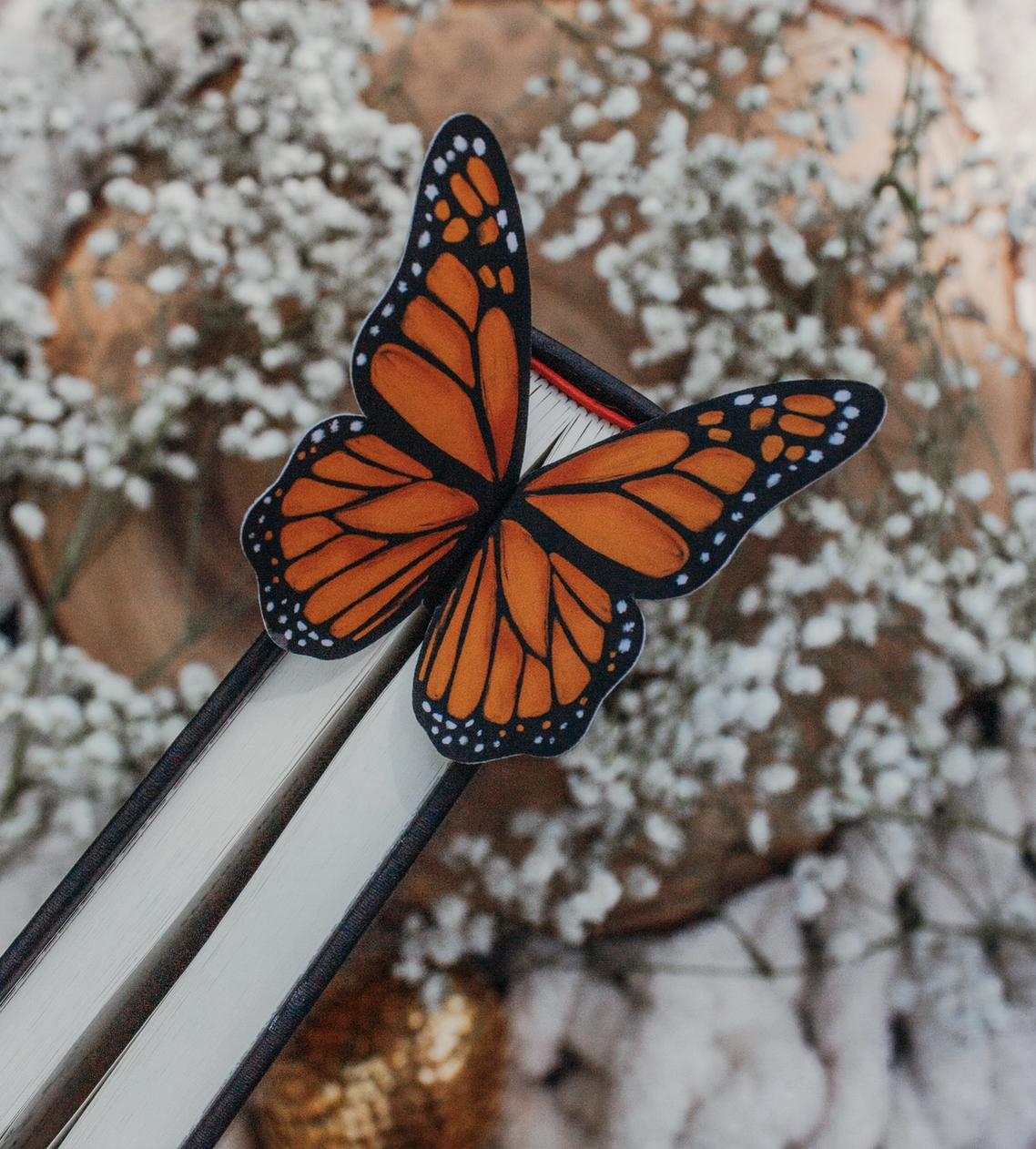 Screenshot 2026-03-07 at 1.23.46 PM.png