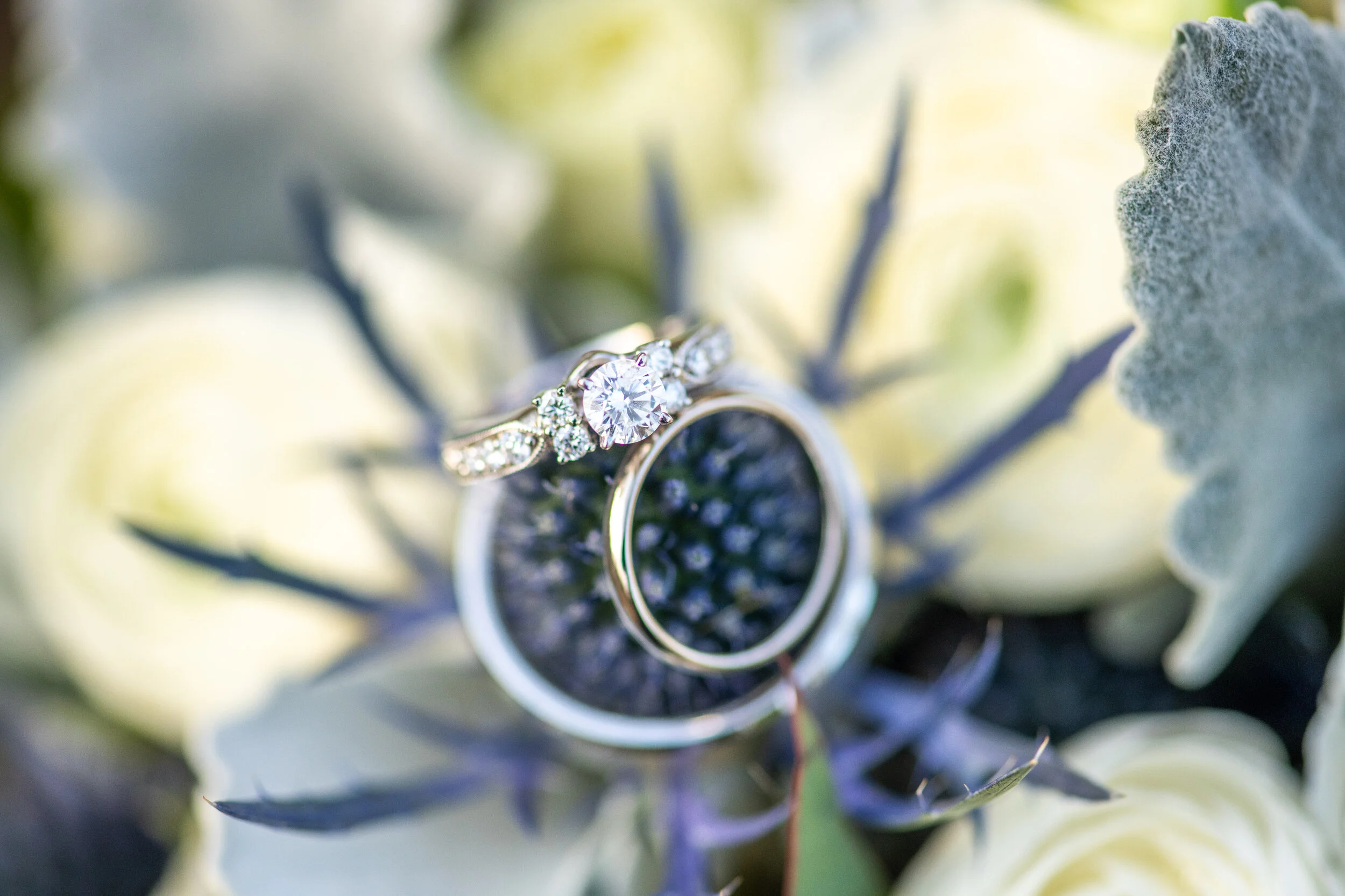Jan wed 2nd shoot Proofs-26.jpg