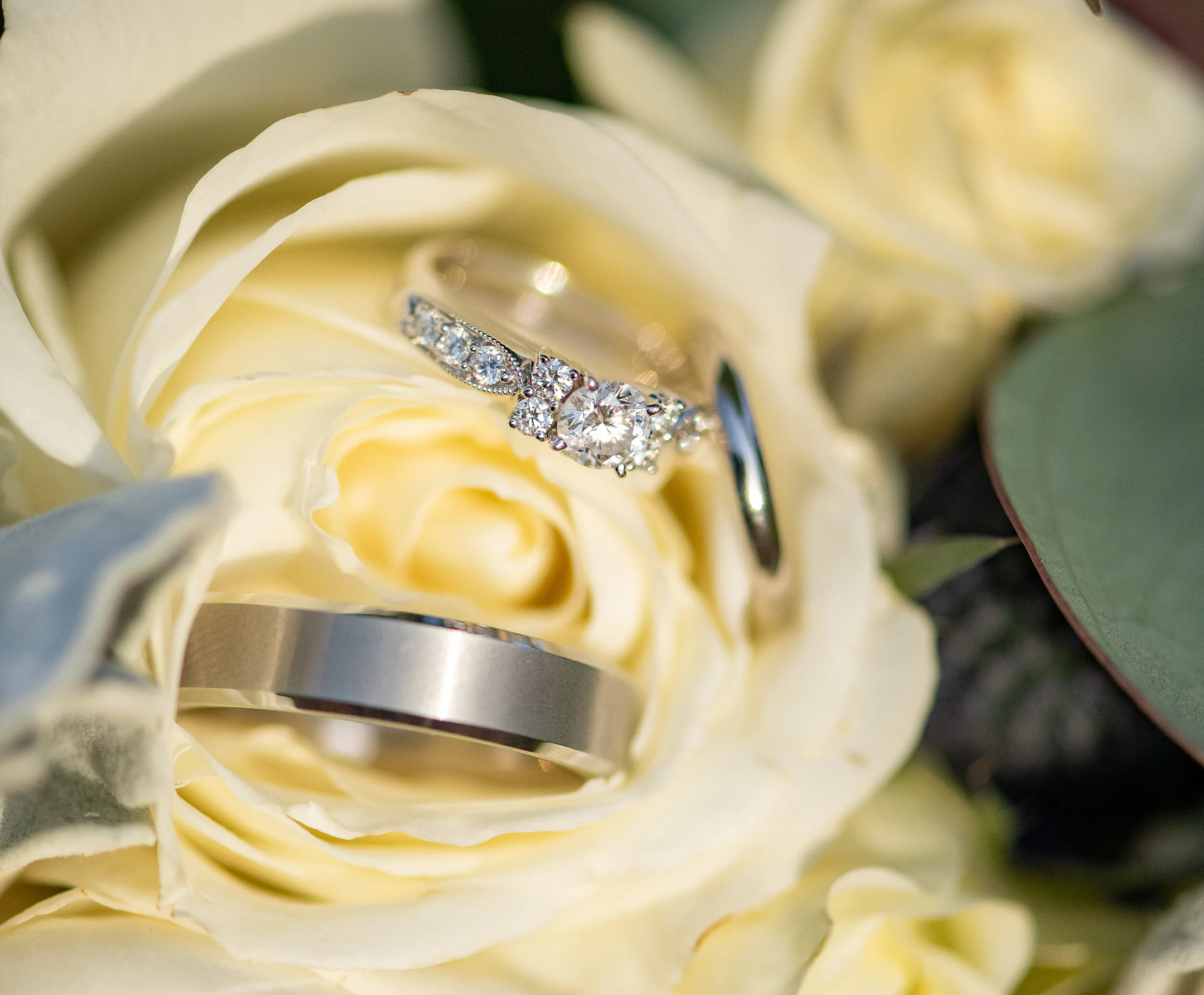 Jan wed 2nd shoot Proofs-24.jpg