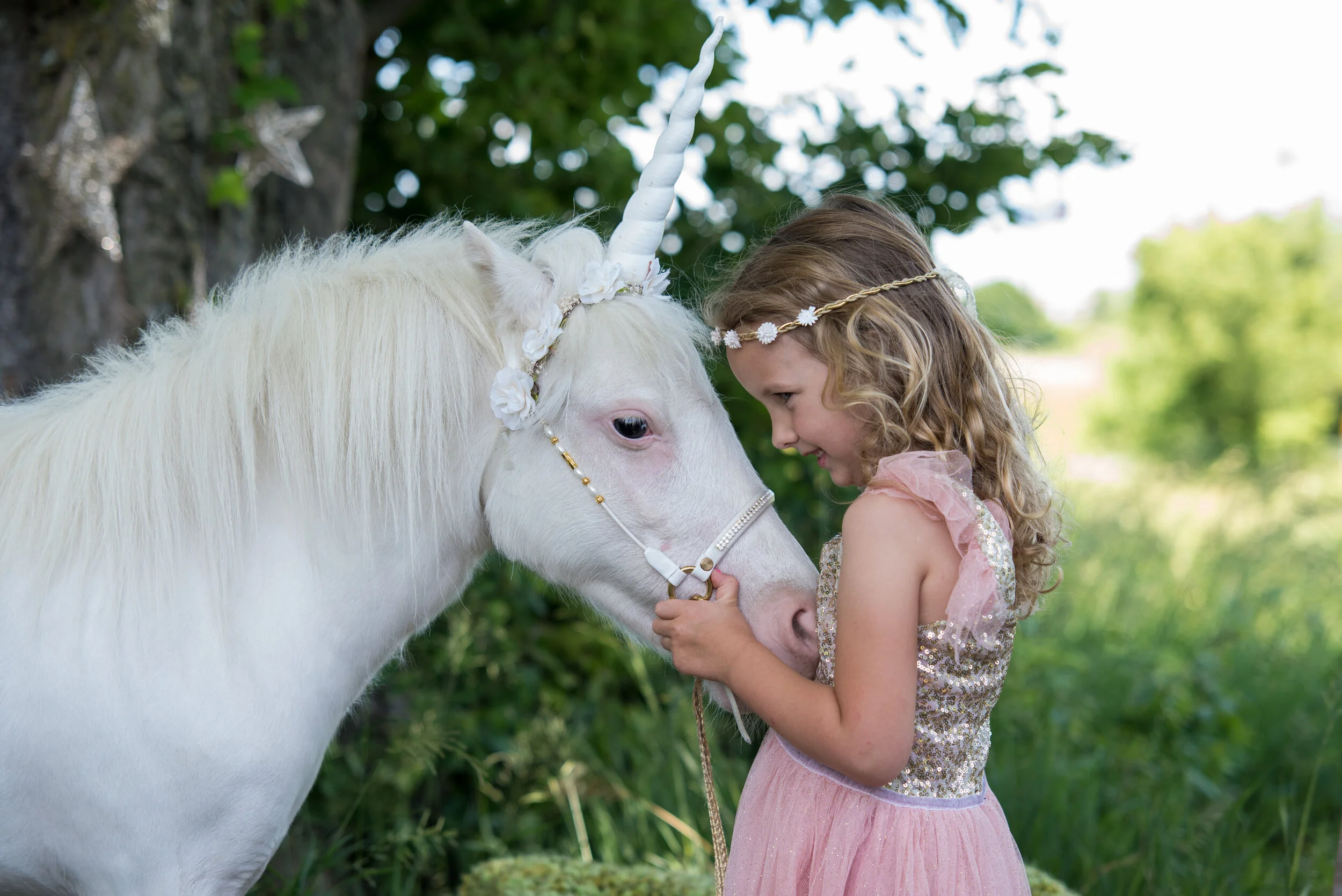 Switch Focus Studios-18.jpg