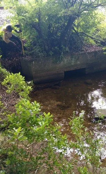 Topographic and Feature Location Survey at Mamacoke Island | Waterford, CT