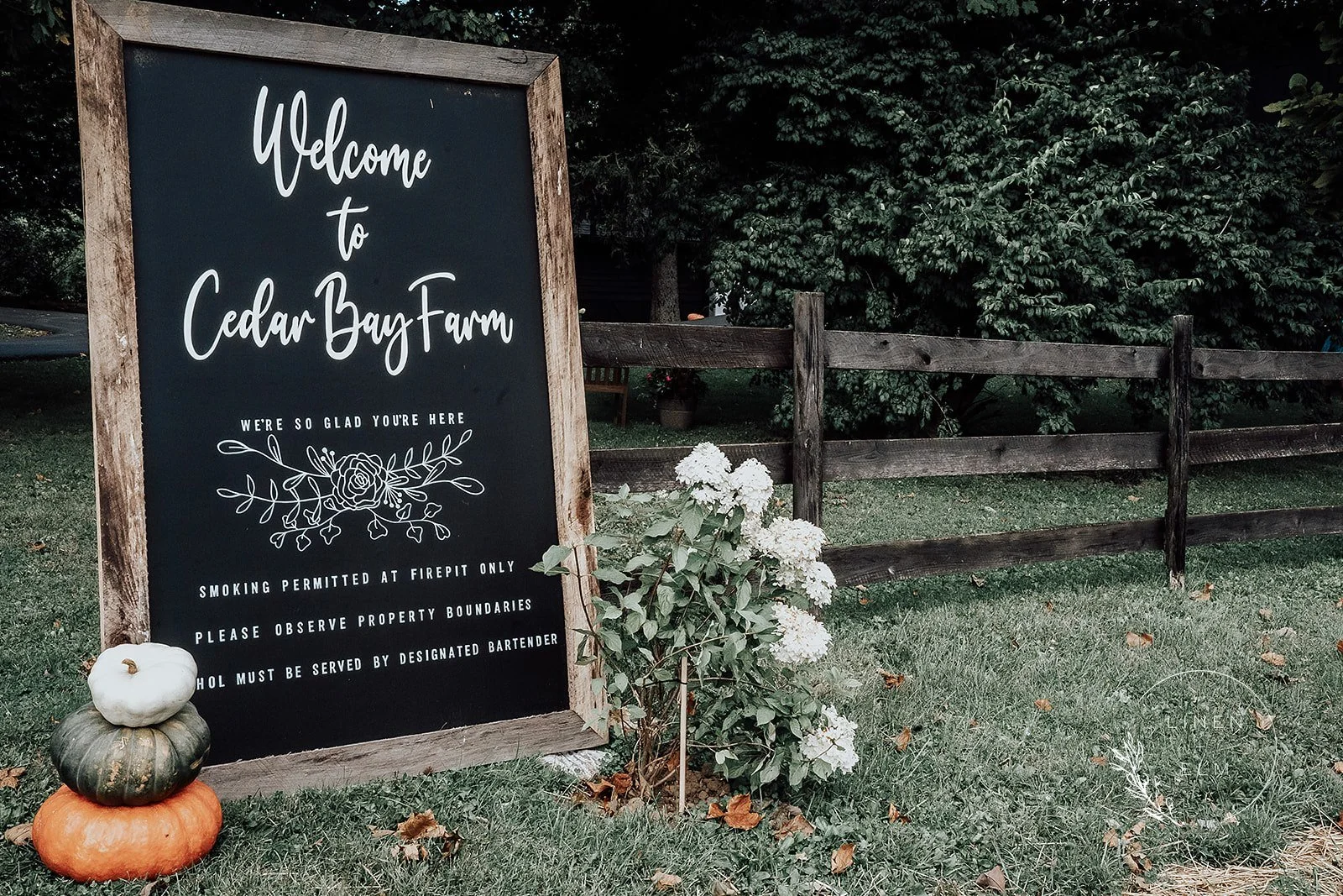 The Truth About Micro Weddings: Real Stories from Couples Who've Been There