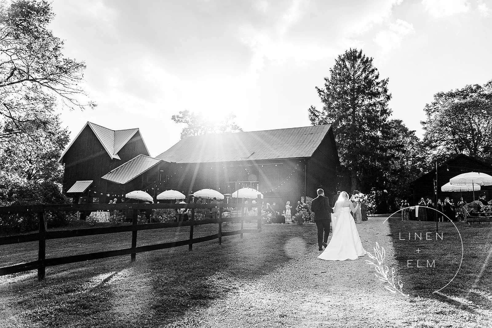 Black and white photo of a wedding reception outside a rustic barn with trees and umbrellas. A bride and groom walk on a gravel path, with guests in the background.