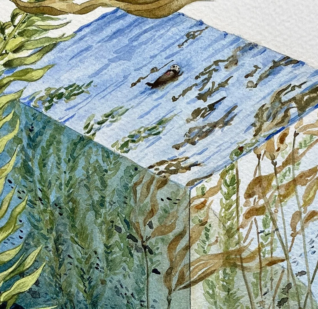 IMG_4868 2_Kelp Ecosystems_Detail.jpg