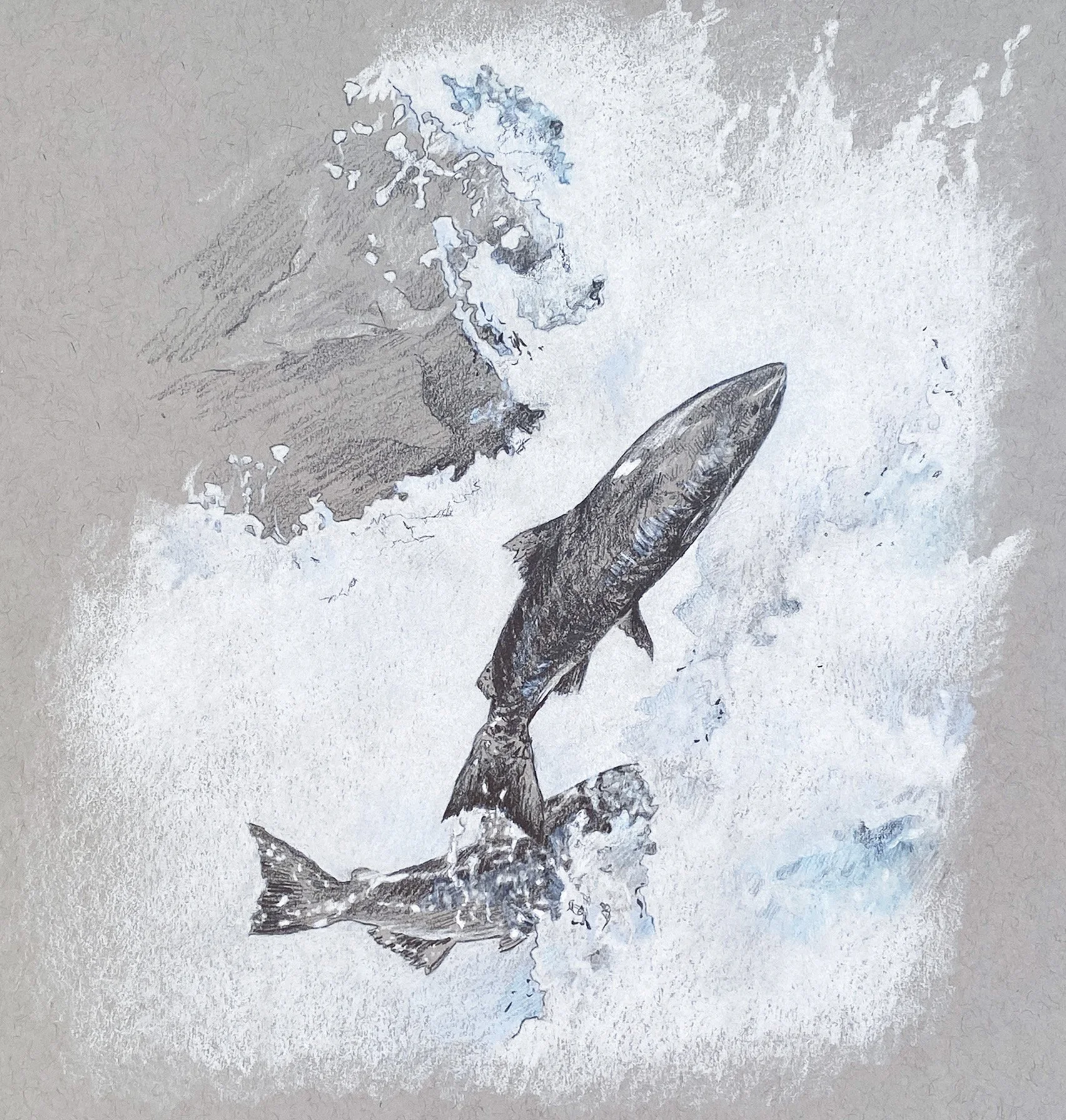 IMG_4834 2_Salmon Jumping Drawing_Detail.jpg