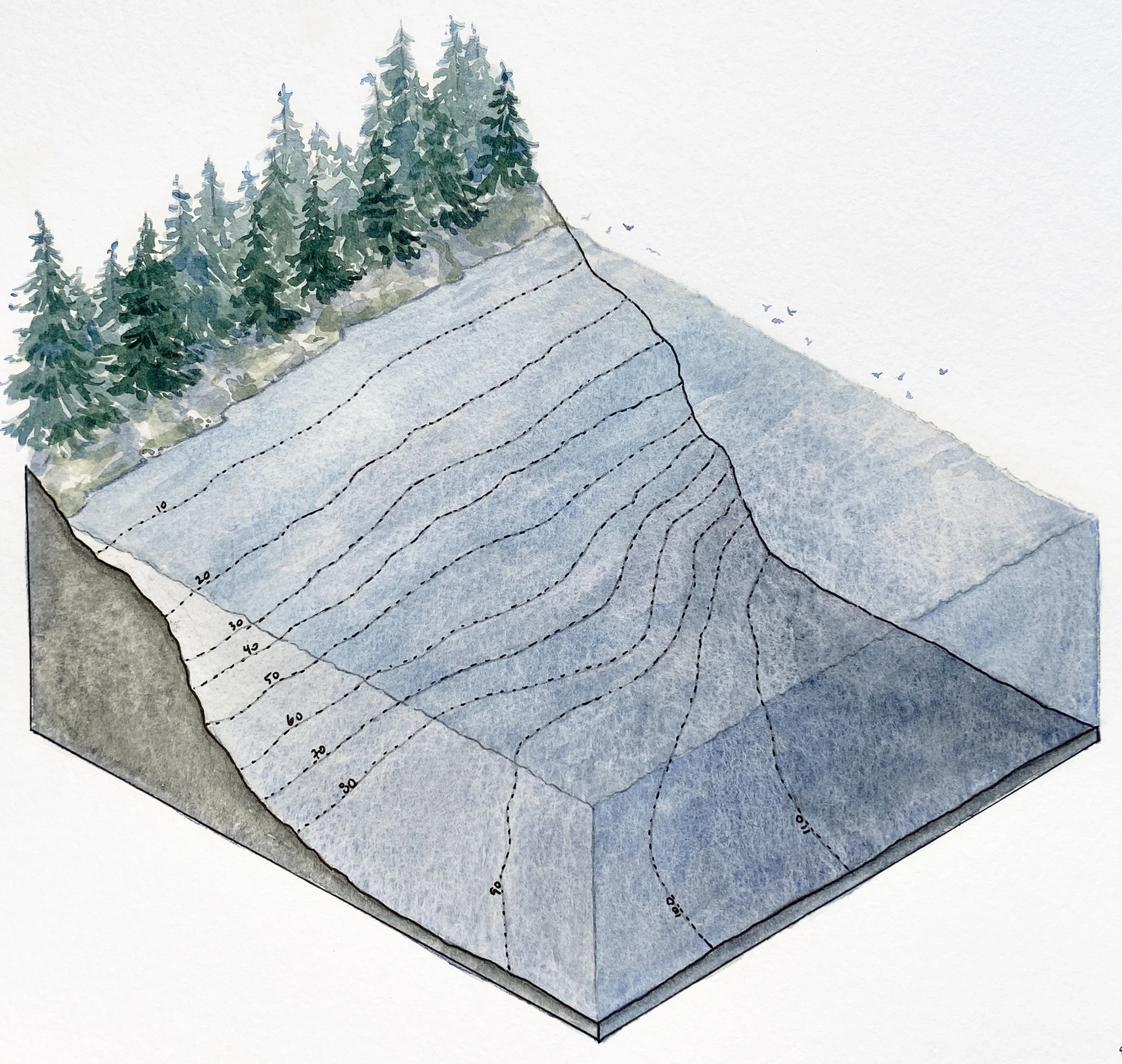 IMG_4920 2_Ocean contours study_Detail.jpg