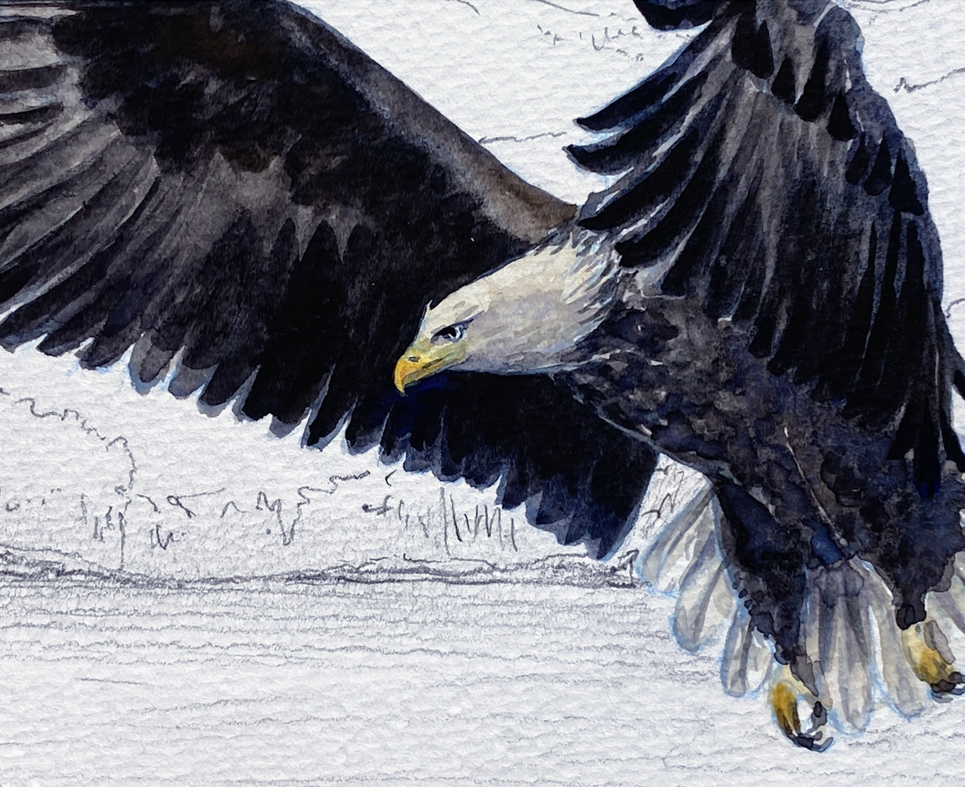 Screenshot 2025-11-12 at 7.43.14 AM.png