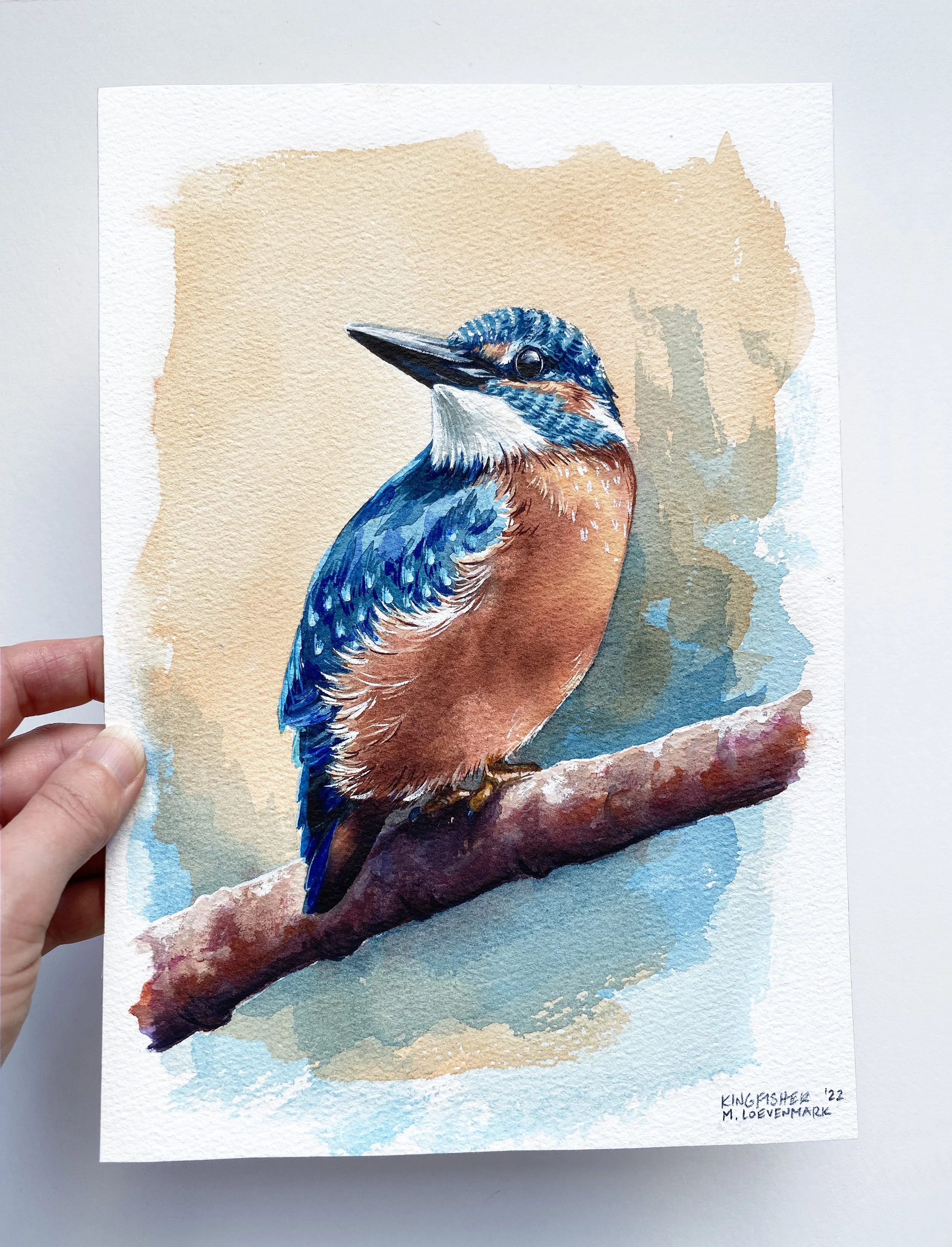 IMG_4882 2_Kingfisher.jpg