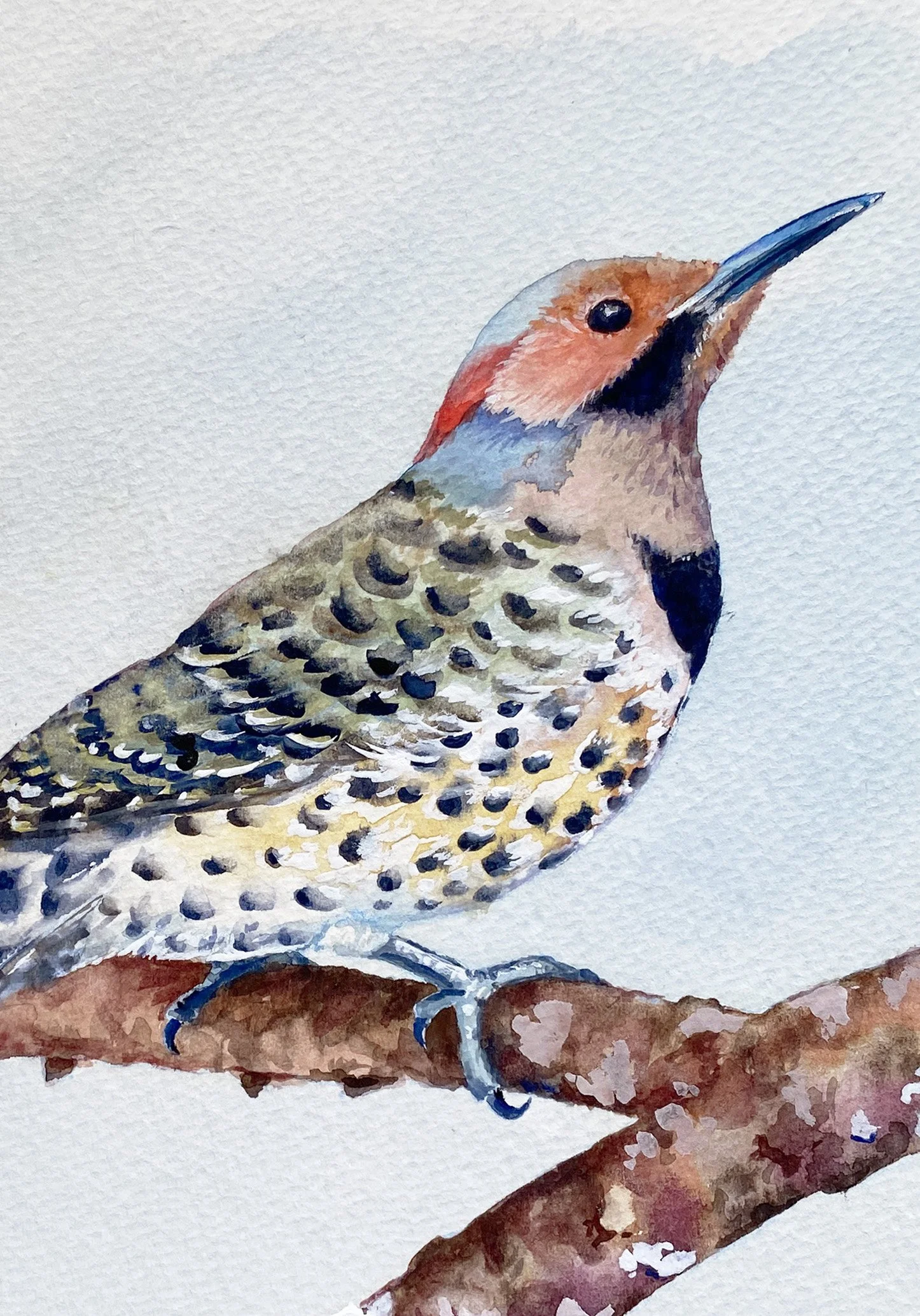 IMG_4876 2_Northern Flicker_Detail.jpg