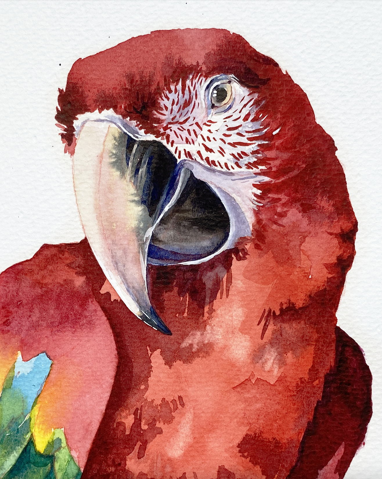 Screenshot 2025-11-12 at 8.03.18 AM.png