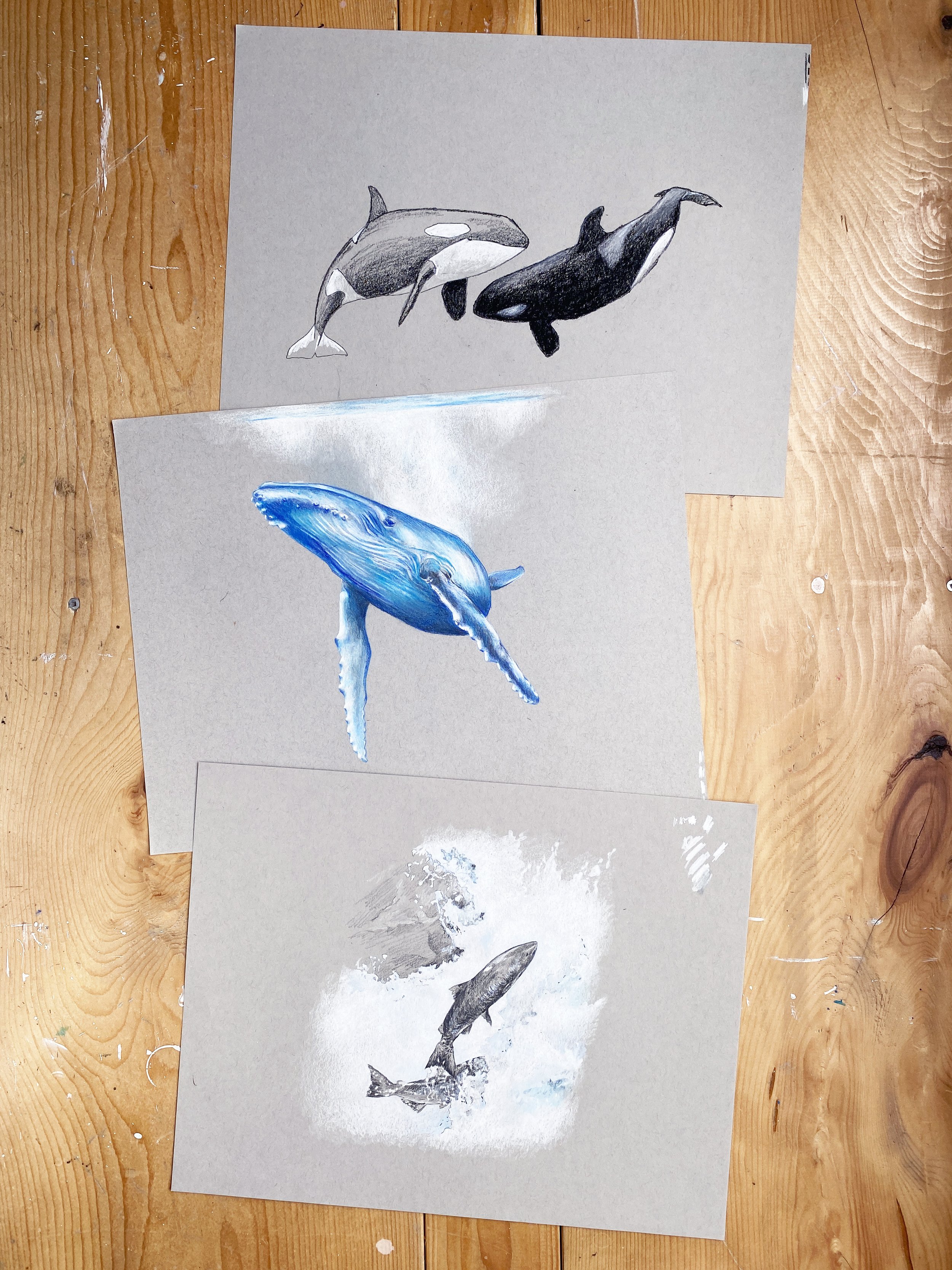 IMG_4826 2_Grey paper drawings.jpg