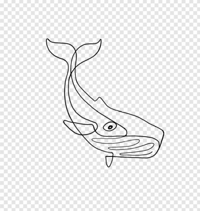 IMG_6735.png