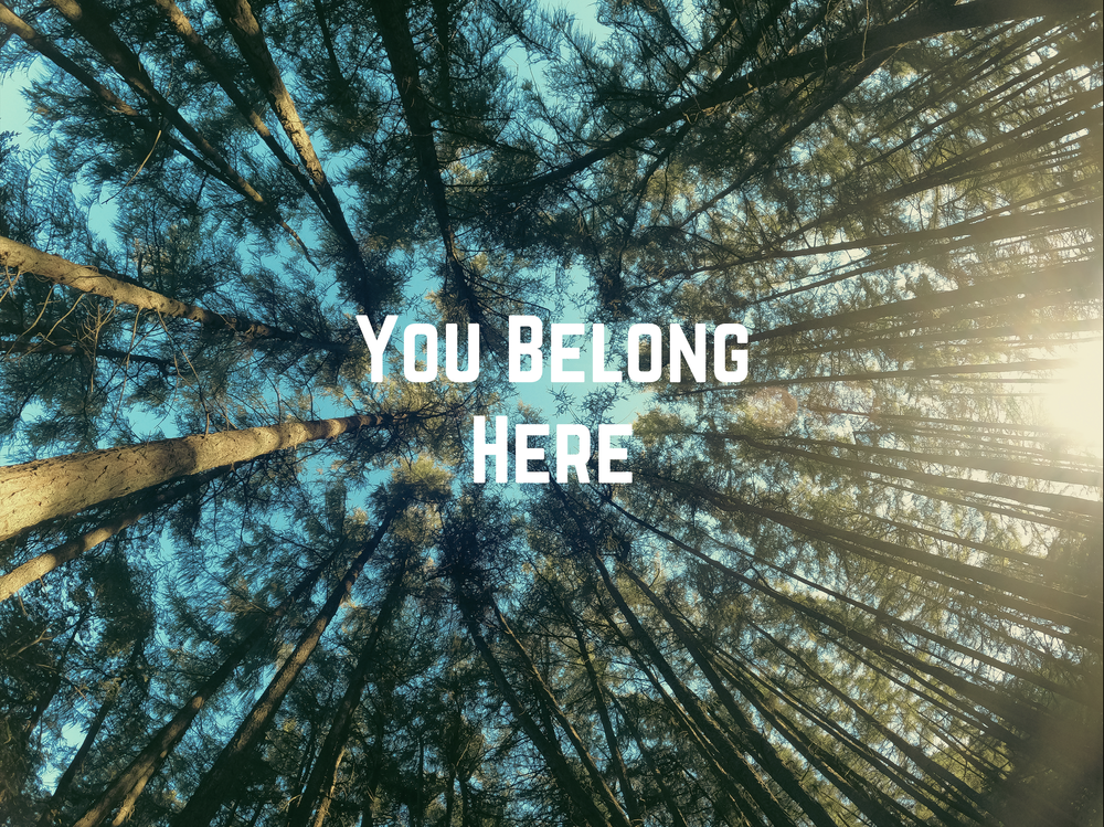 Forest bathing Dublin