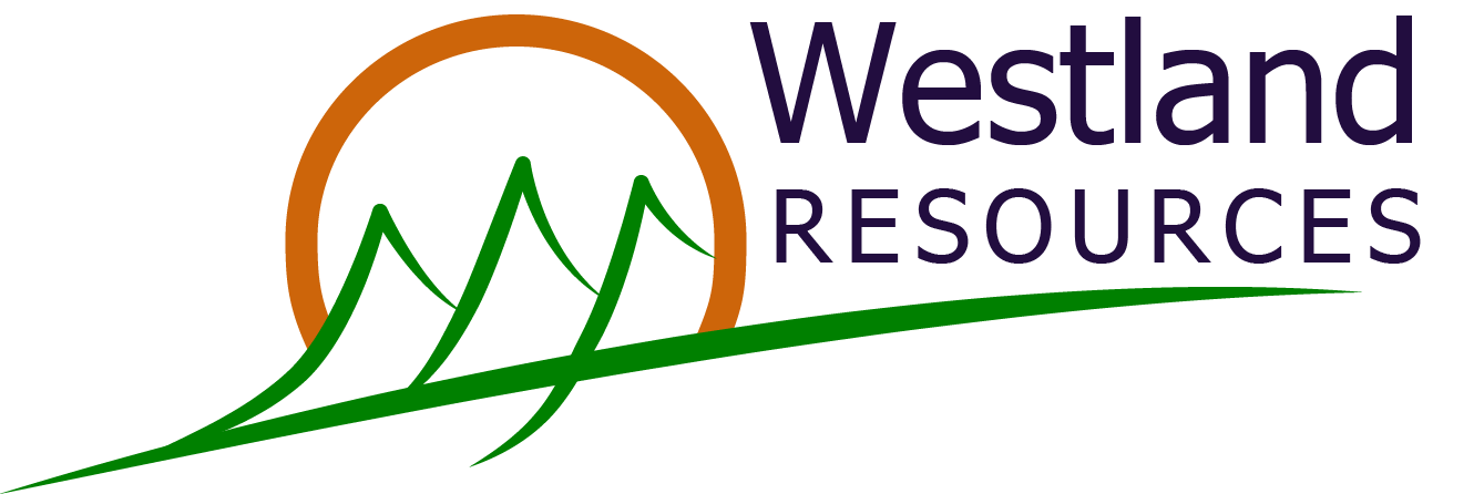 Westland Resources Ltd.