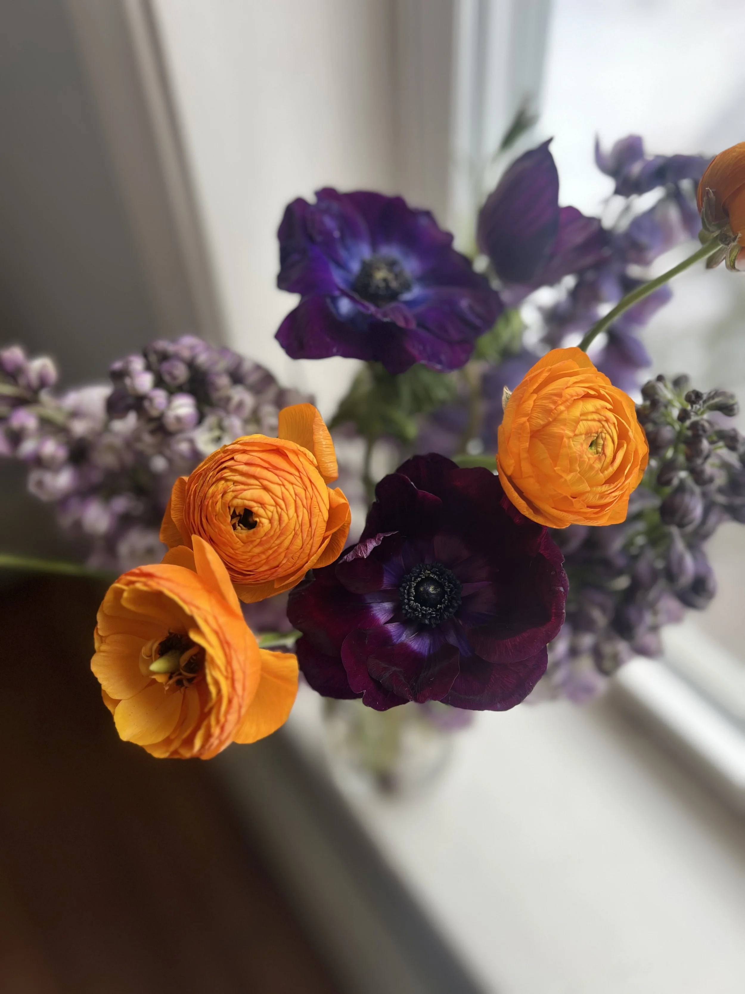IMG_5536.jpeg