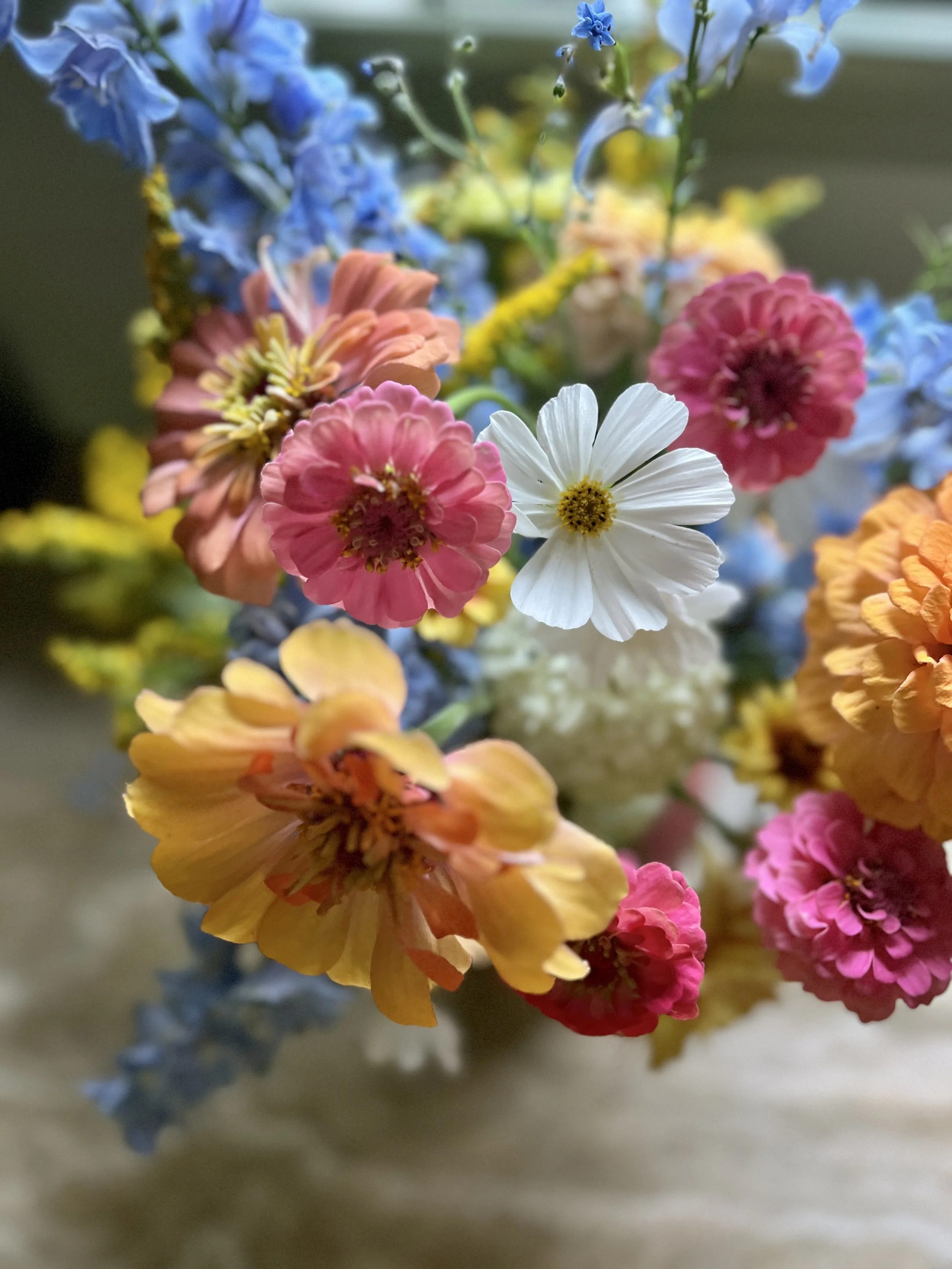 IMG_3963.jpeg