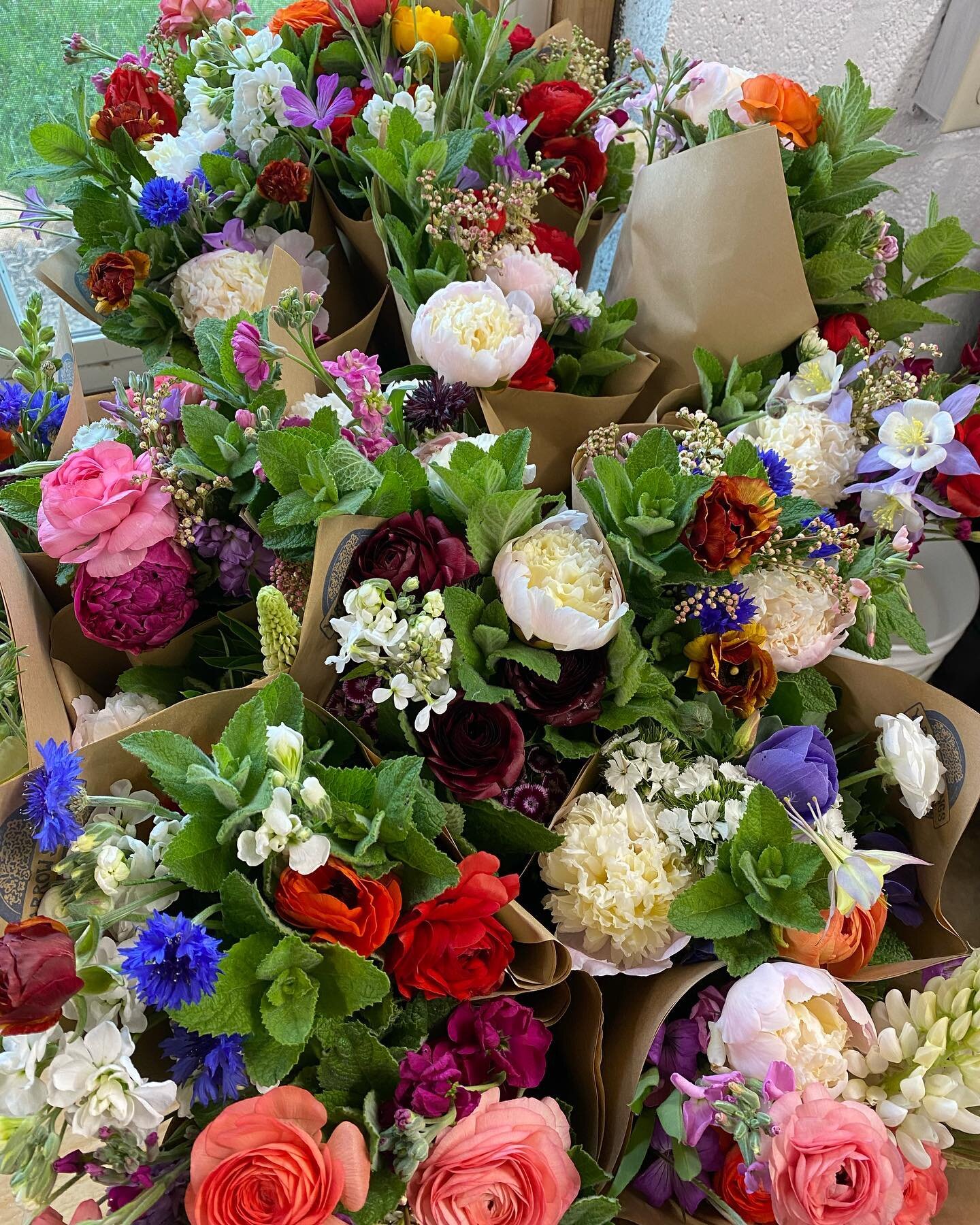 So much beauty at the @floydfarmersmarket today!! Even more plants!  Grab ya some!
.
.
.
.
.
.
.
#springflowers #flowerfarmer #farmerflorist #meadowsofdan #floydva #virginiagrown #floydvirginia #yarrowsprings #nrv #swva #stuartva #thisisfloyd #pcva #