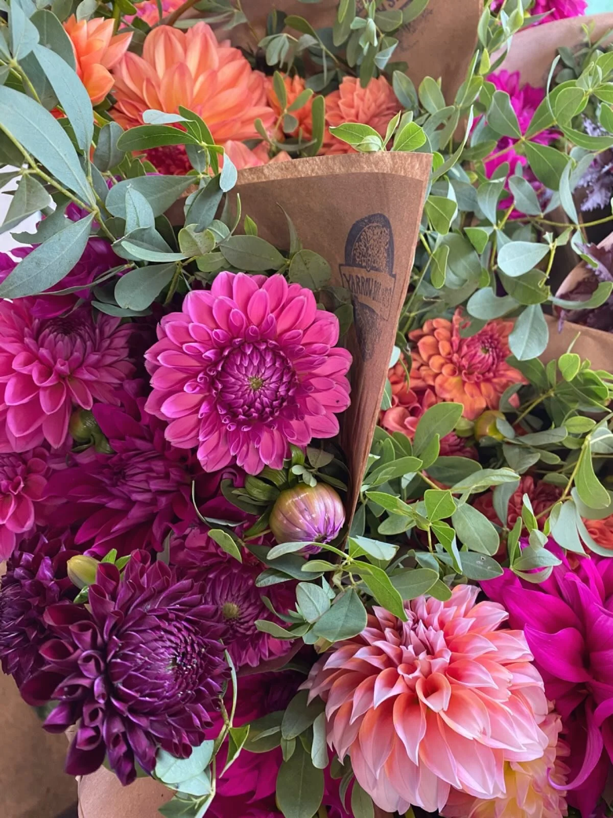 The CSA is over, but we are still in dahlia season, baby!! Swing by @thefloydcountrystore tomorrow and snag ya a bundle of beauty. Enjoy- 🍁🌿 #floydva