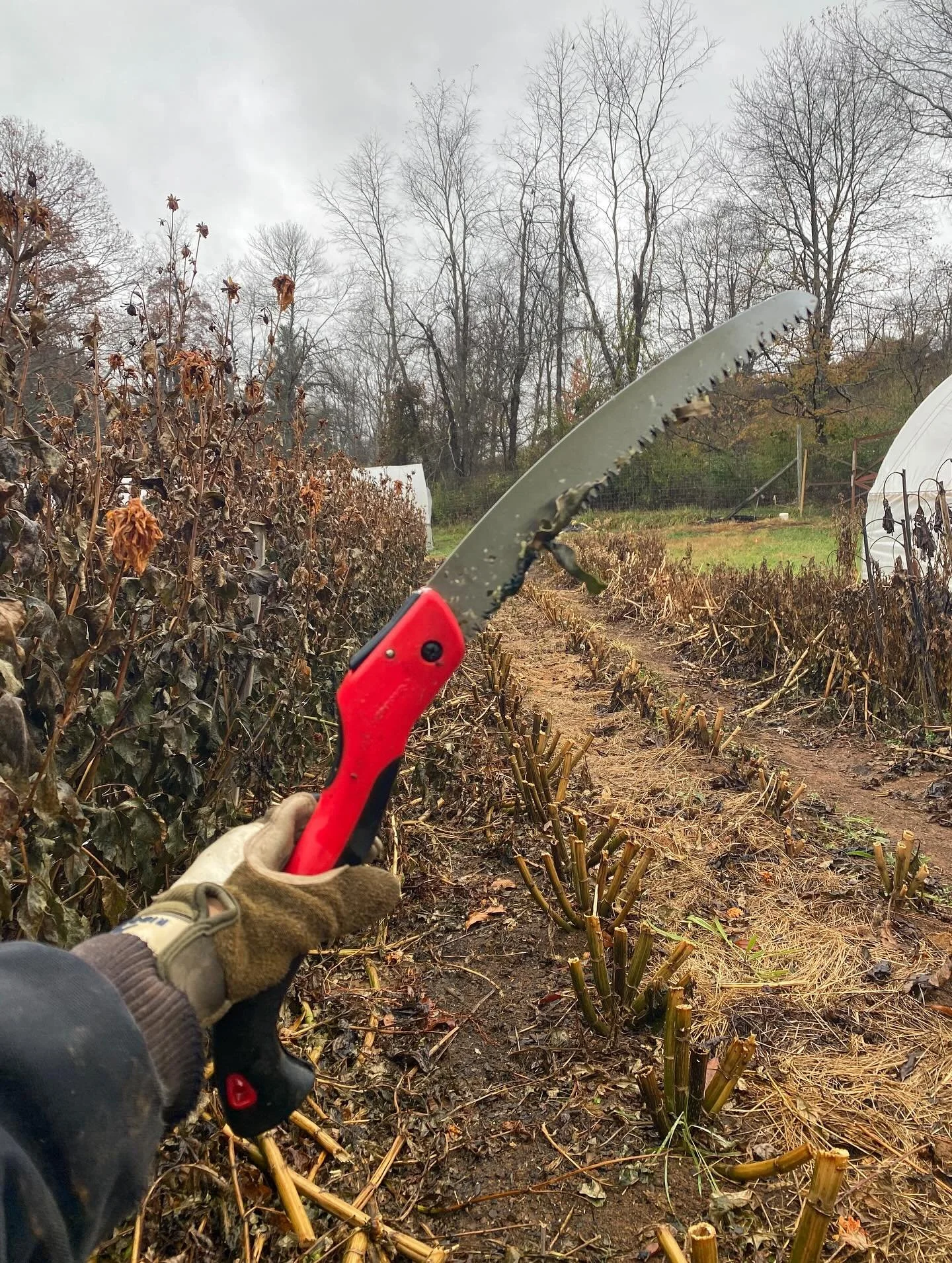 The fall work has begun!  Everyone asks me about this time of year if the farm is slowing down with the frost.  The answer is&hellip; kind of.  Fresh flowers require such a rigid schedule of assessing, picking, organizing, arranging, selling&hellip; 