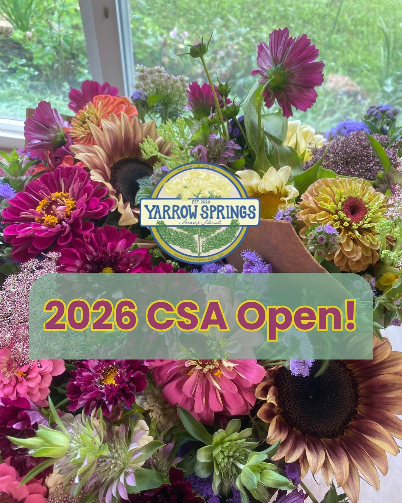 The 2026 CSA is now open, y&rsquo;all!! Want 12 weeks of fresh flowers next year?? Know someone who might appreciate this gift?? Skip over to my website to learn more.  Once again, pickup available from the farm or @thefloydcountrystore 🌿💕✨ #floydv