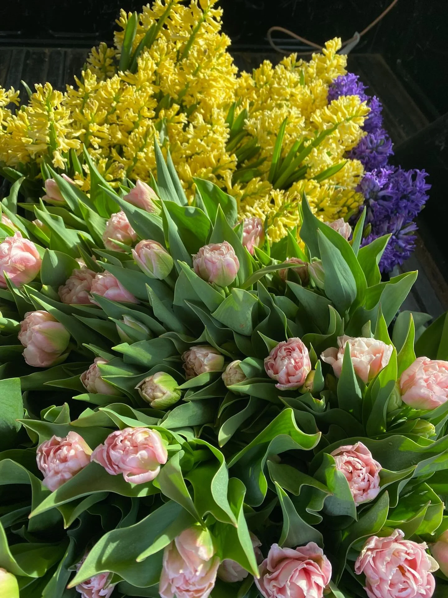 Well- they&rsquo;ve arrived!! After a long harsh winter- the fresh flowers are BACK, BABY.  Hyacinth, daffodils, tulips, and anemones are coming out of the field this week - thank goodness.  I&rsquo;ll be dropping bouquets at @thefloydcountrystore Fr